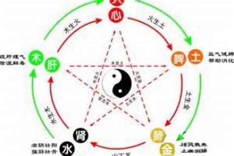 虎五行|属虎五行分别是什么属性